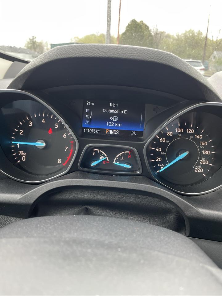 2019 Ford Escape SEL Photo
