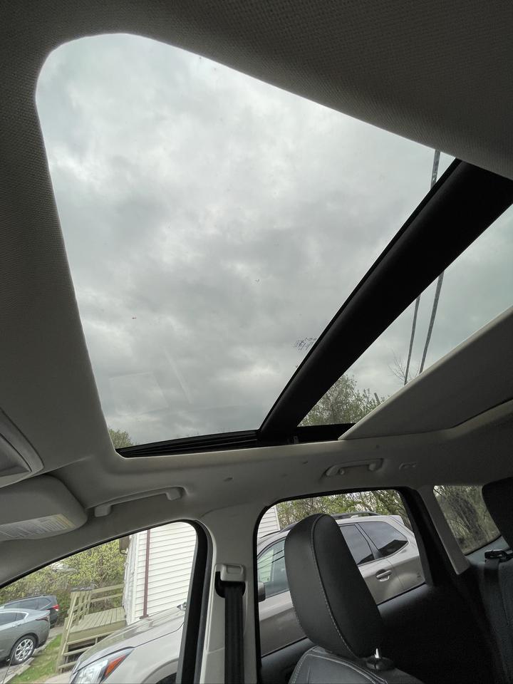 2019 Ford Escape SEL Photo