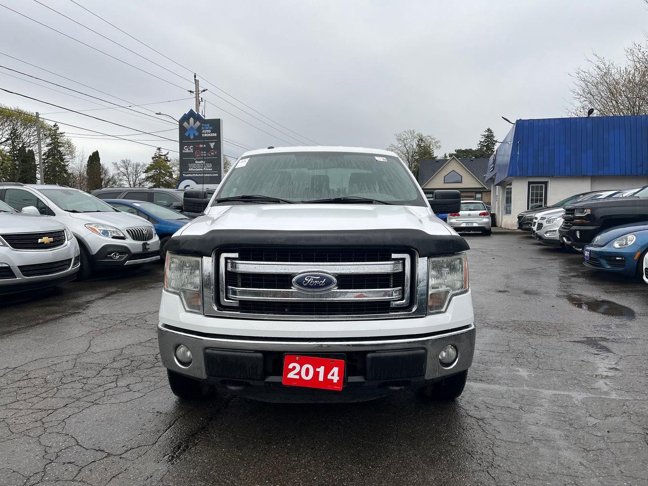 2014 Ford F-150 XLT Photo
