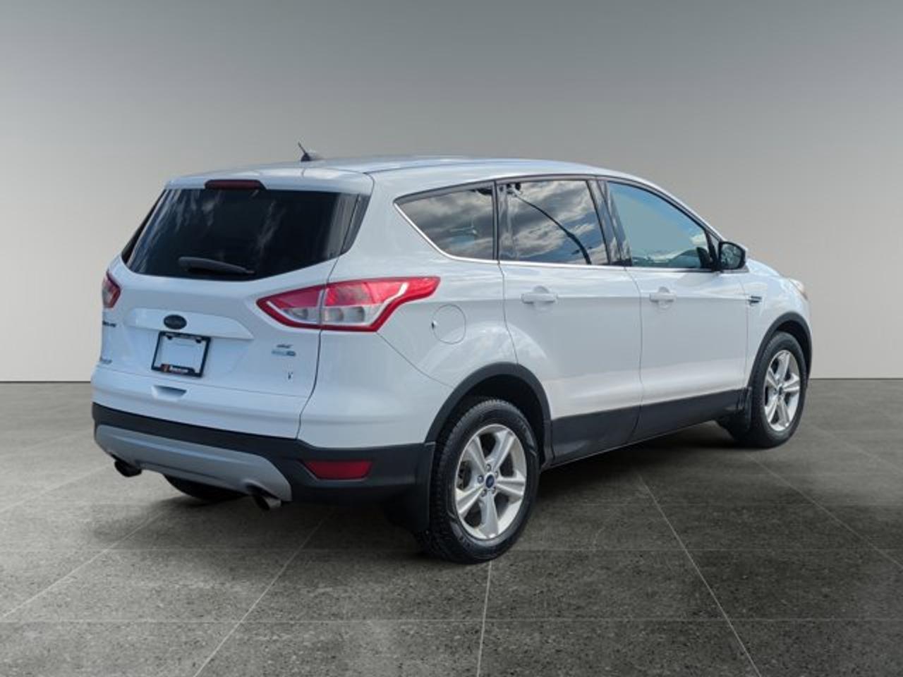 2015 Ford Escape SE Photo