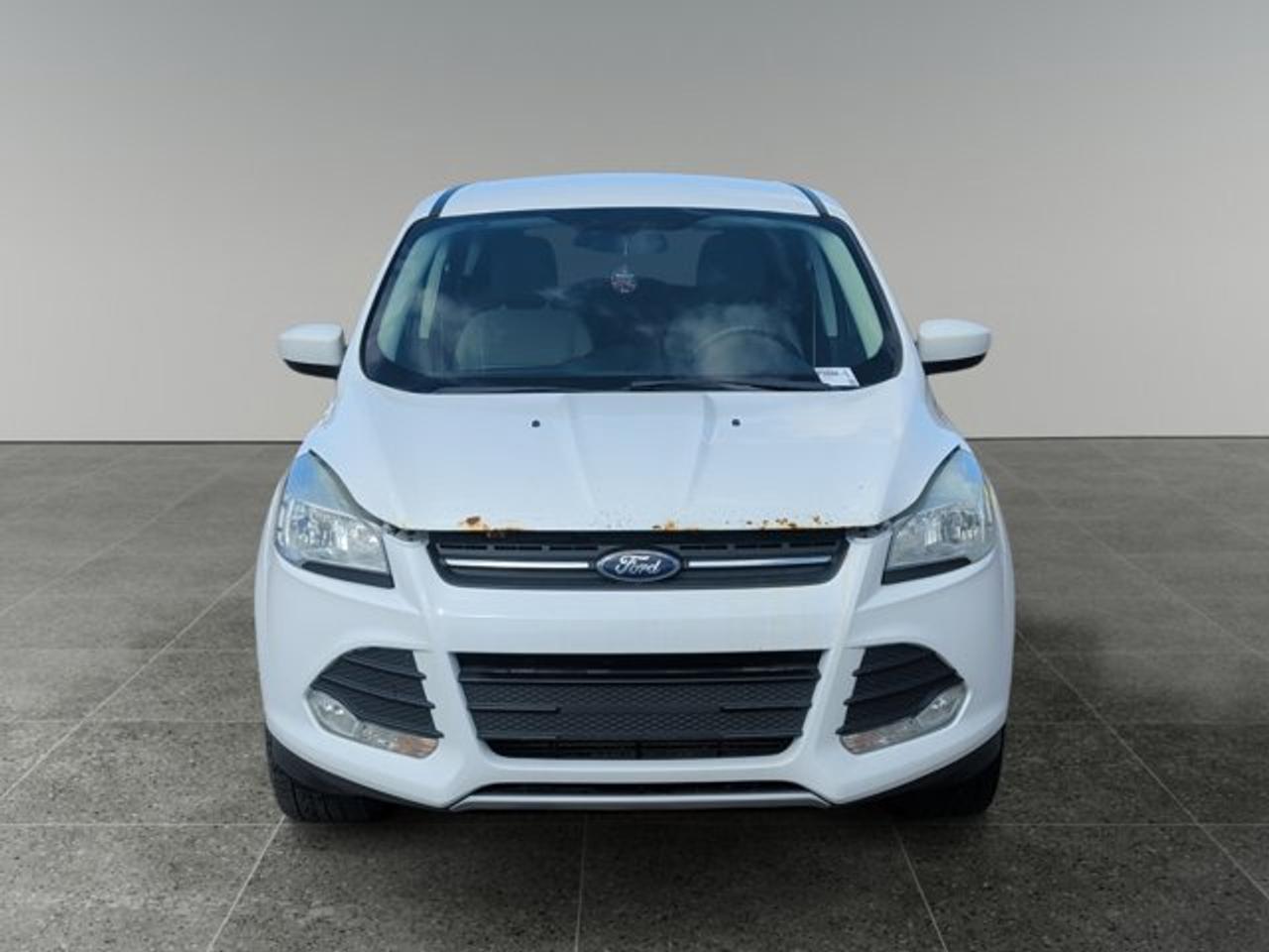 2015 Ford Escape SE Photo