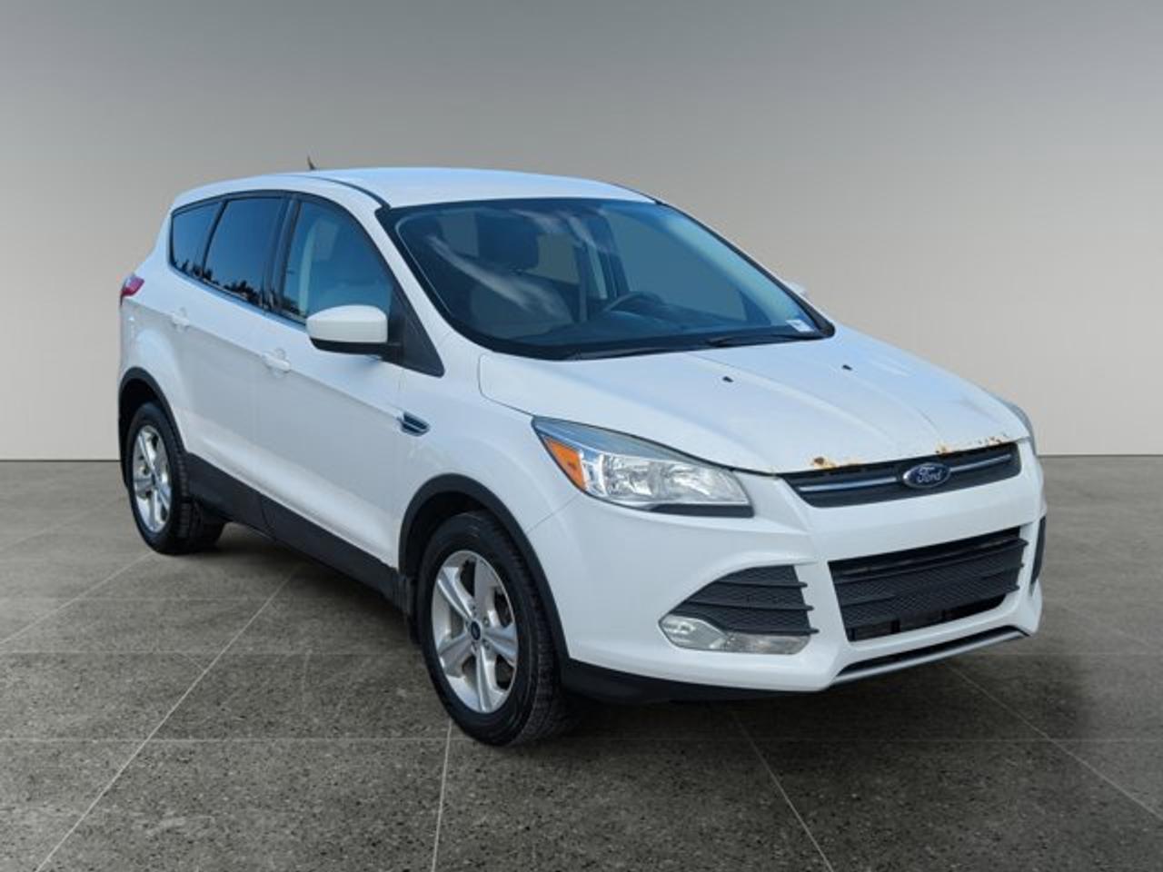 2015 Ford Escape SE Photo