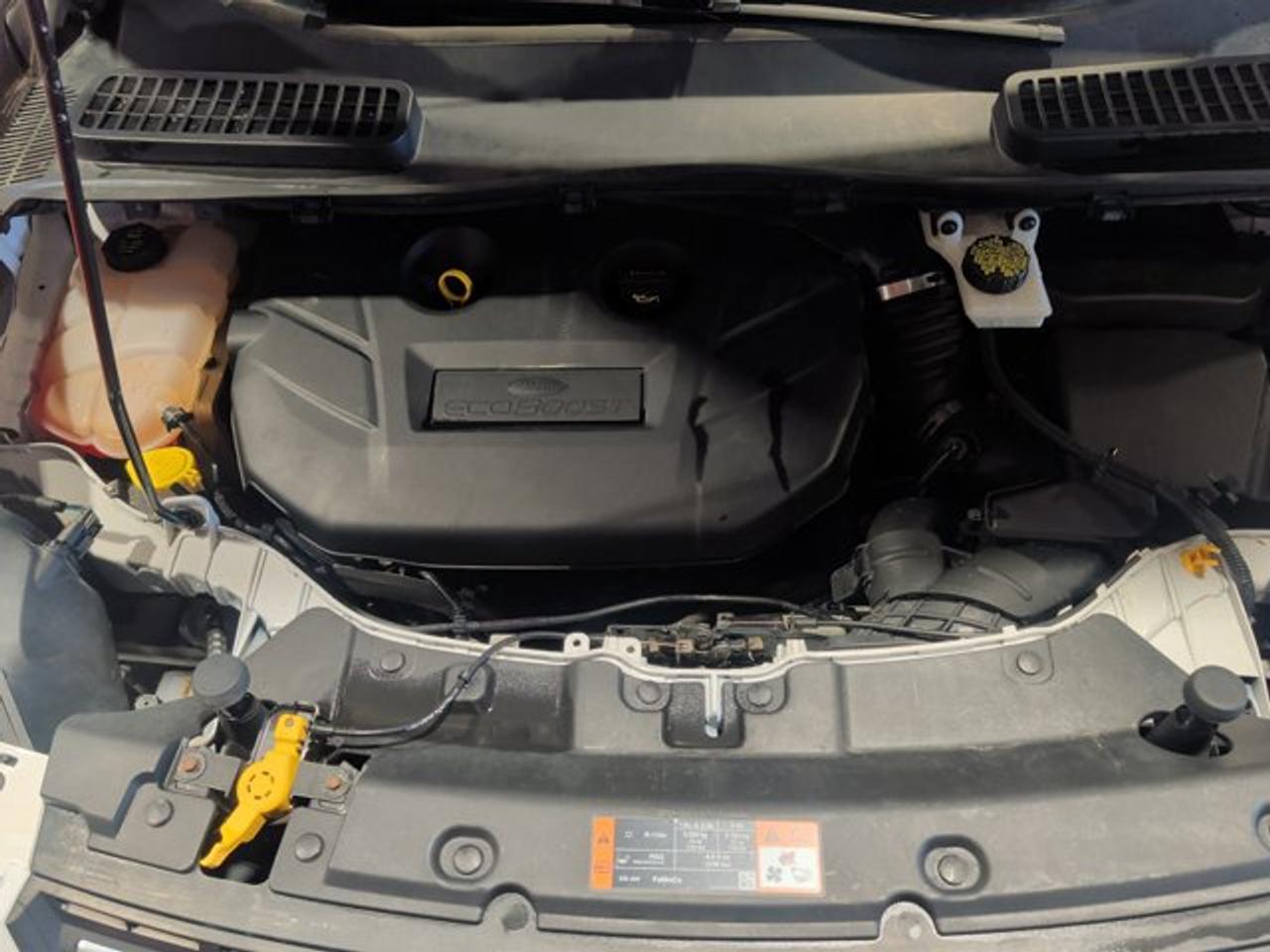 2015 Ford Escape SE Photo