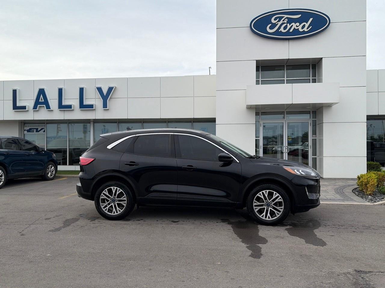 2022 Ford Escape SEL AWD Photo