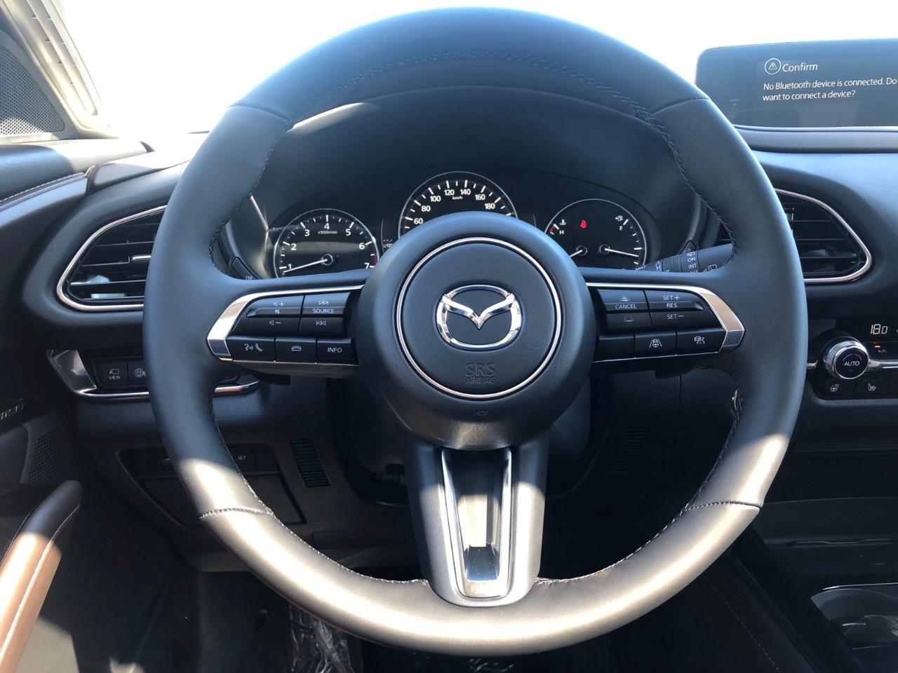 2025 Mazda CX-30 GT Photo