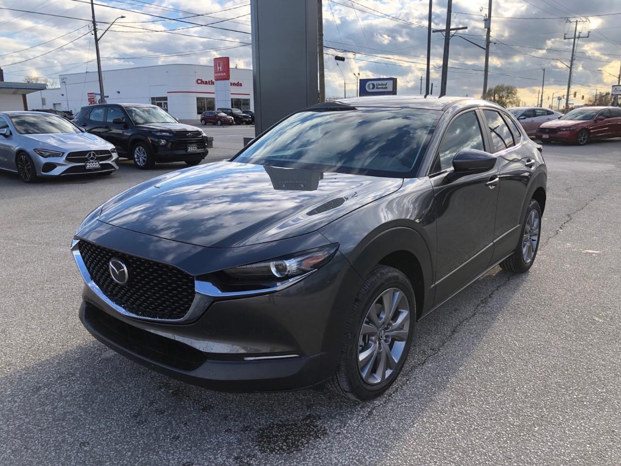 2025 Mazda CX-30 GS Photo