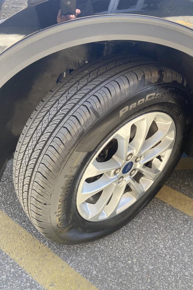 2022 Ford Escape SE Photo