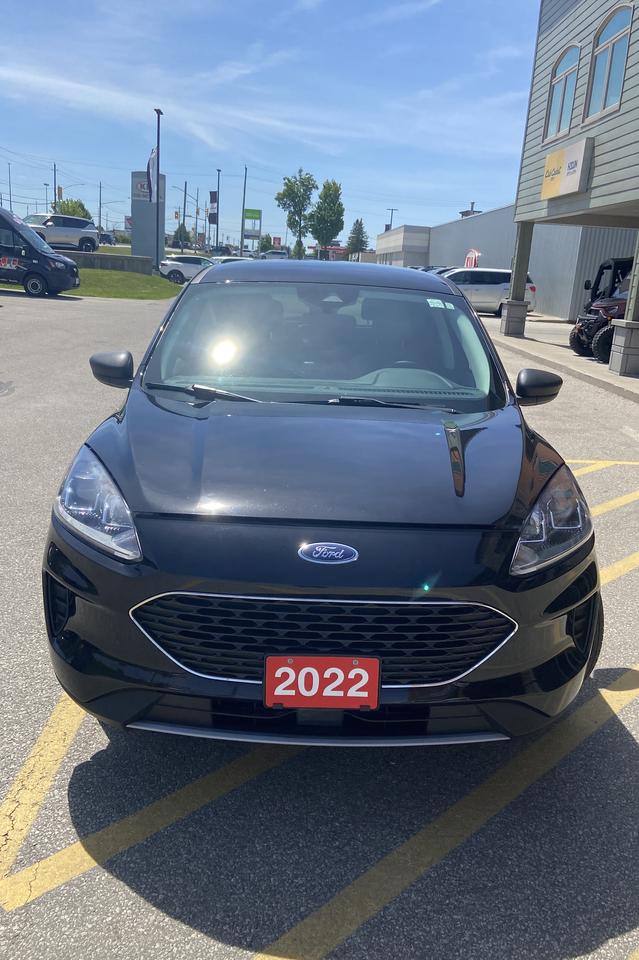 2022 Ford Escape SE Photo