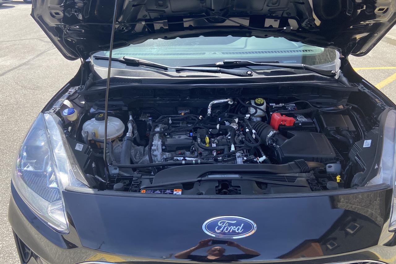 2022 Ford Escape SE Photo