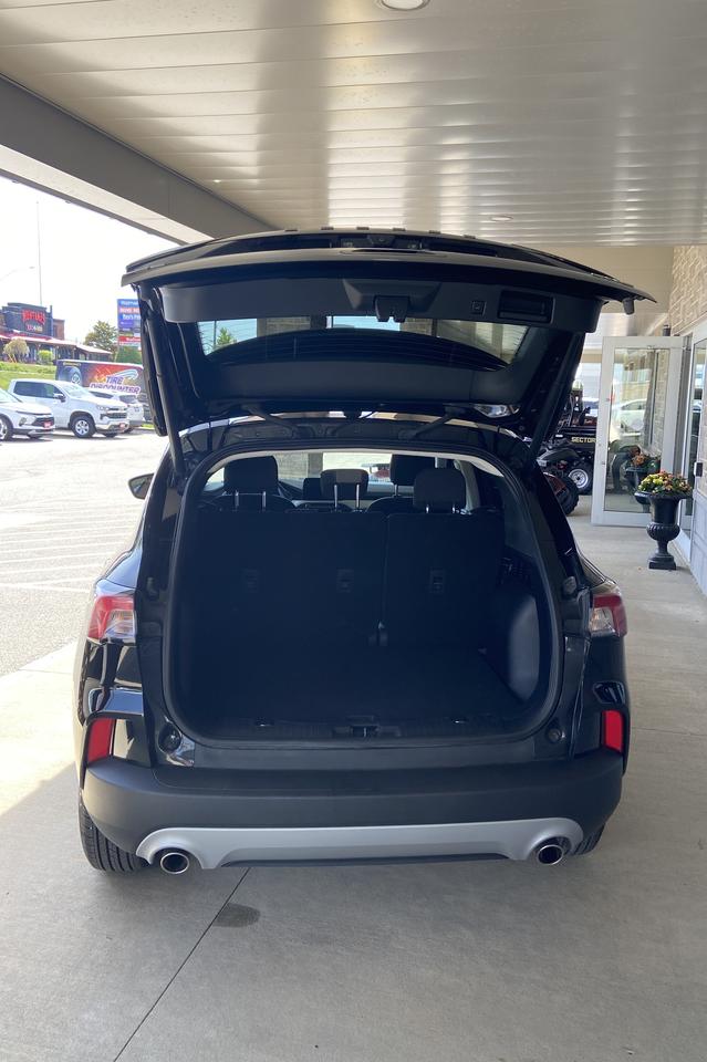 2022 Ford Escape SE Photo