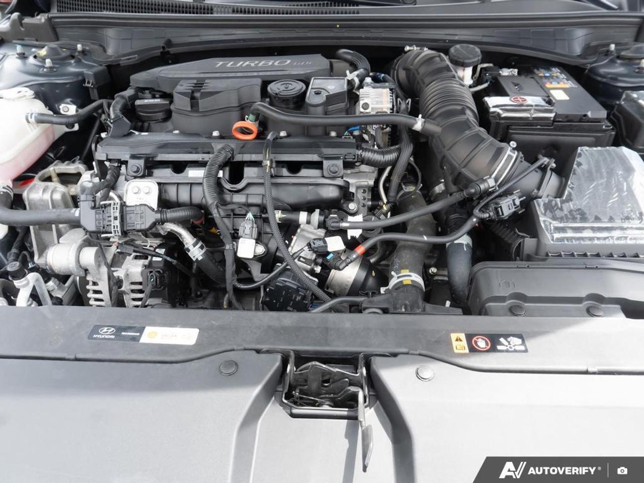 2025 Hyundai Elantra  Photo