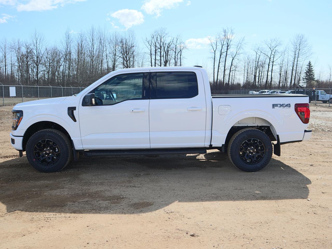 2026 Ford F-150 XLT Photo3