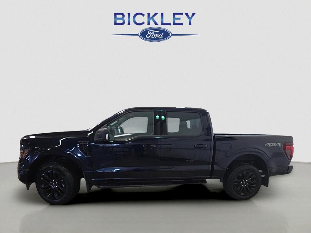 2025 Ford F-150 XLT Photo
