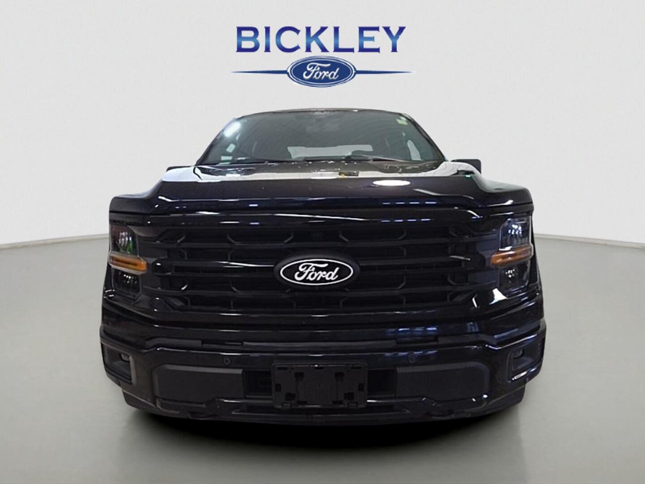 2025 Ford F-150 XLT Photo