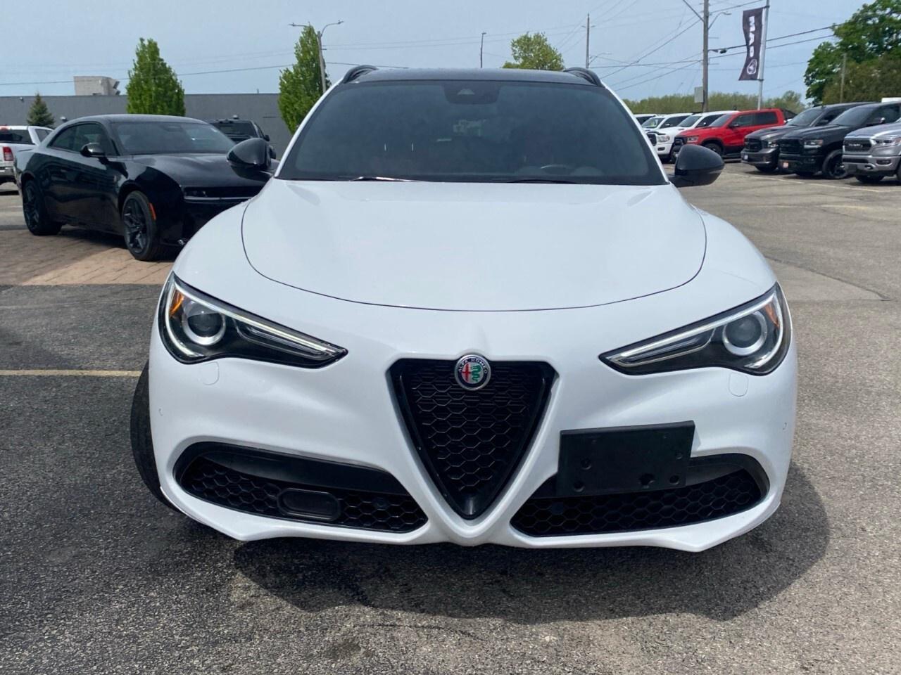 2022 Alfa Romeo Stelvio Veloce AWD Photo
