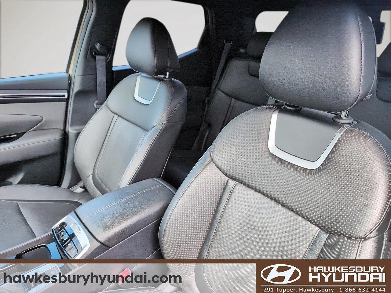 2024 Hyundai Santa Cruz Ultimate Photo