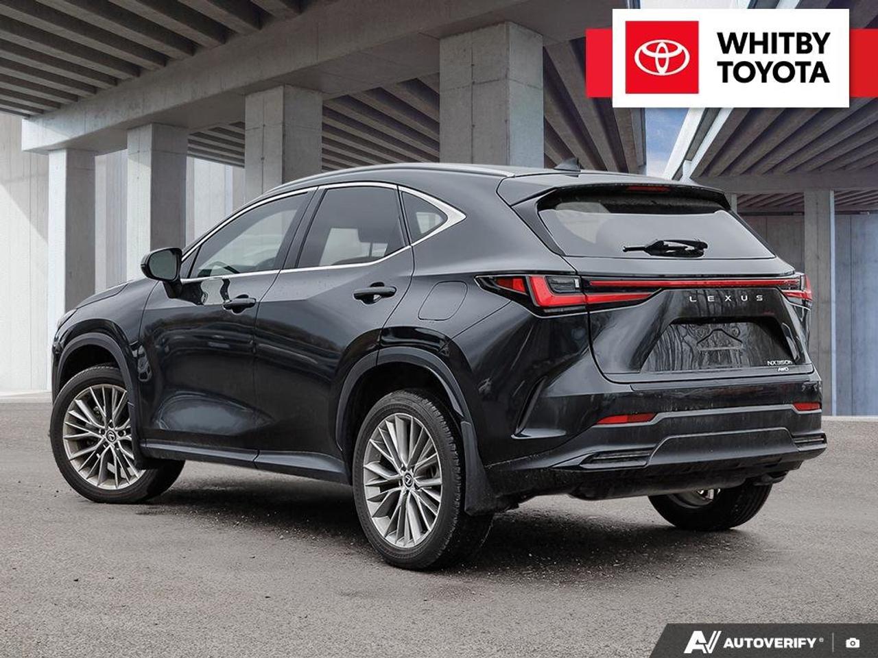 2024 Lexus NX NX 350H 2.5L Photo