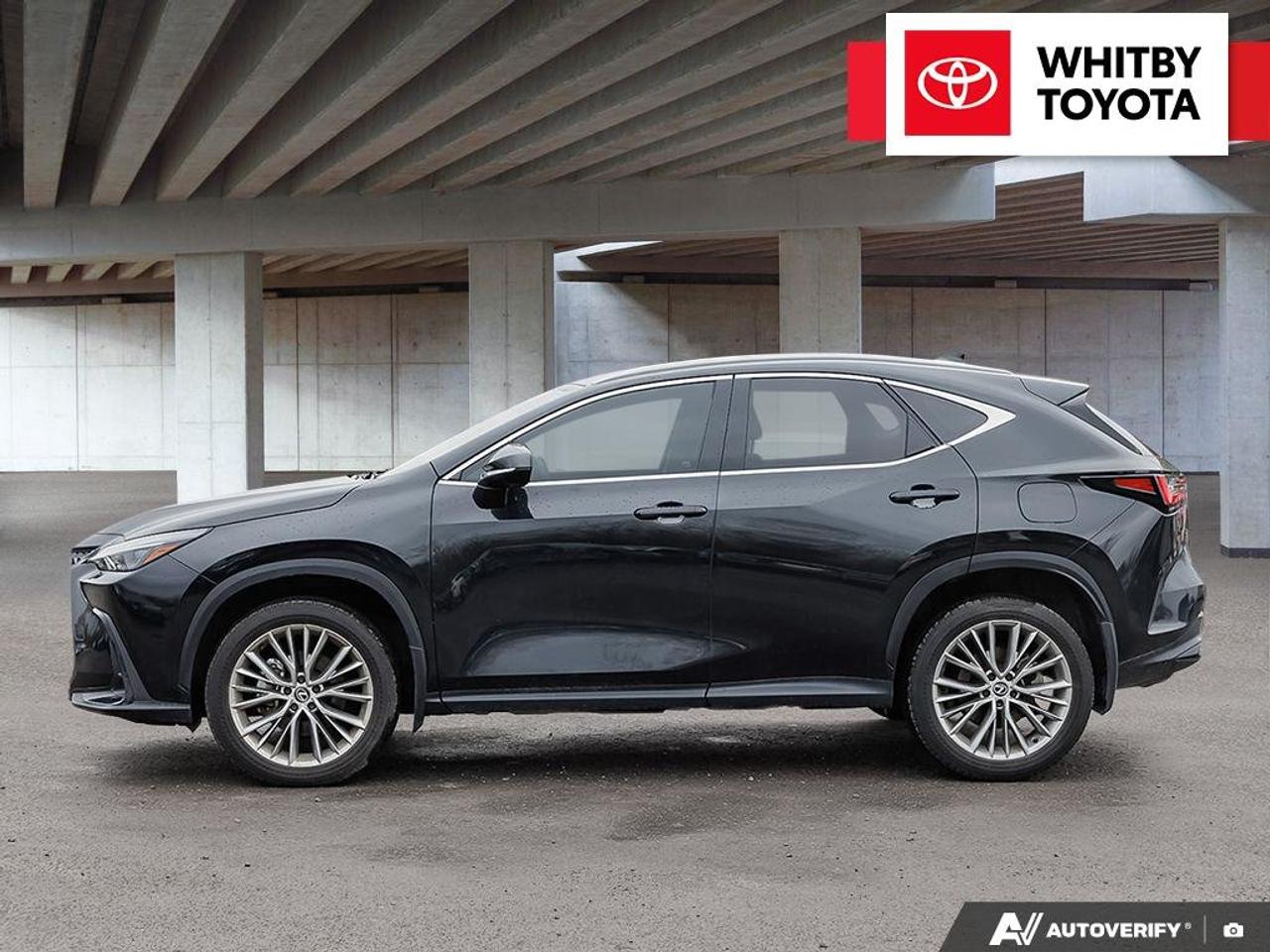 2024 Lexus NX NX 350H 2.5L Photo