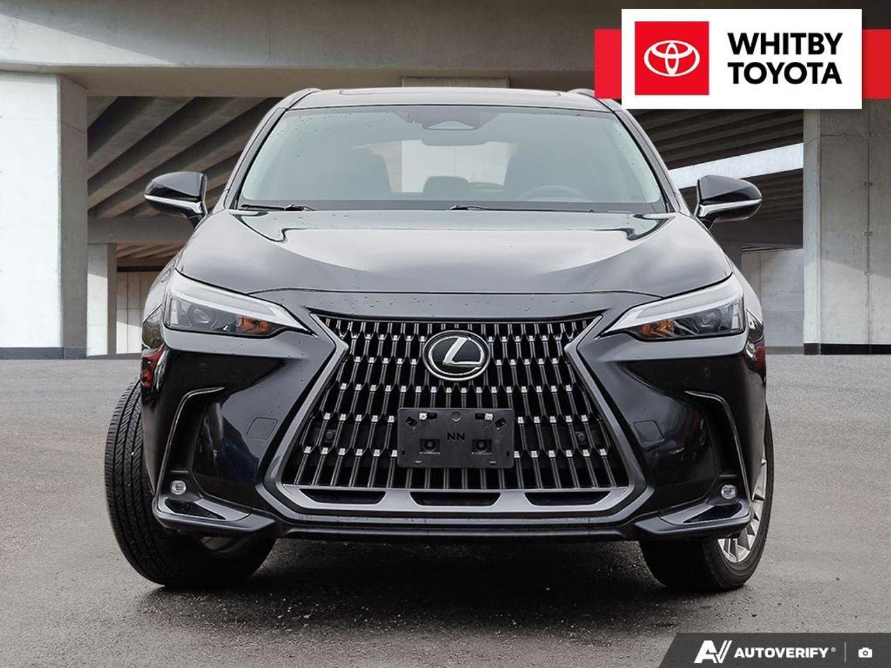2024 Lexus NX NX 350H 2.5L Photo