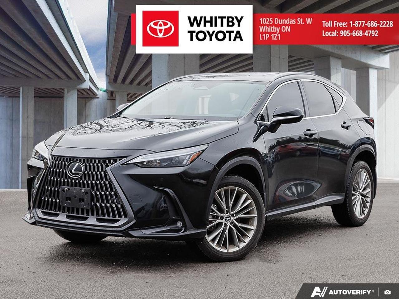 2024 Lexus NX NX 350H 2.5L Photo0