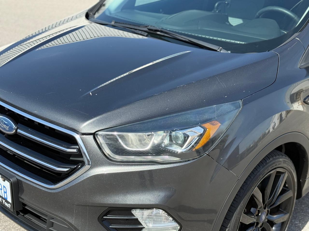 2017 Ford Escape SE   ECOBOOST   NO ACCIDENT Photo