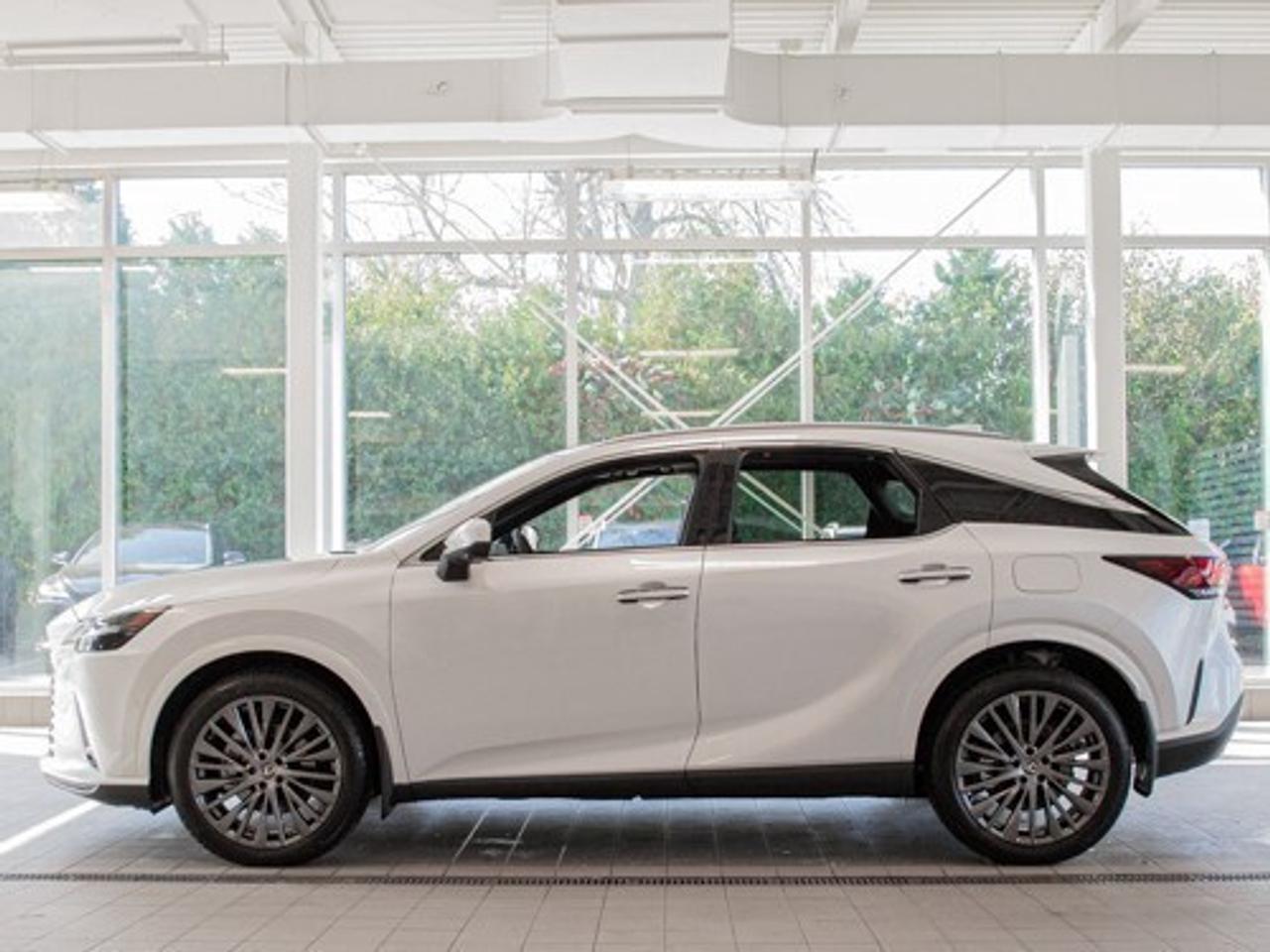 2024 Lexus RX 350 EXECUTIVE Photo3