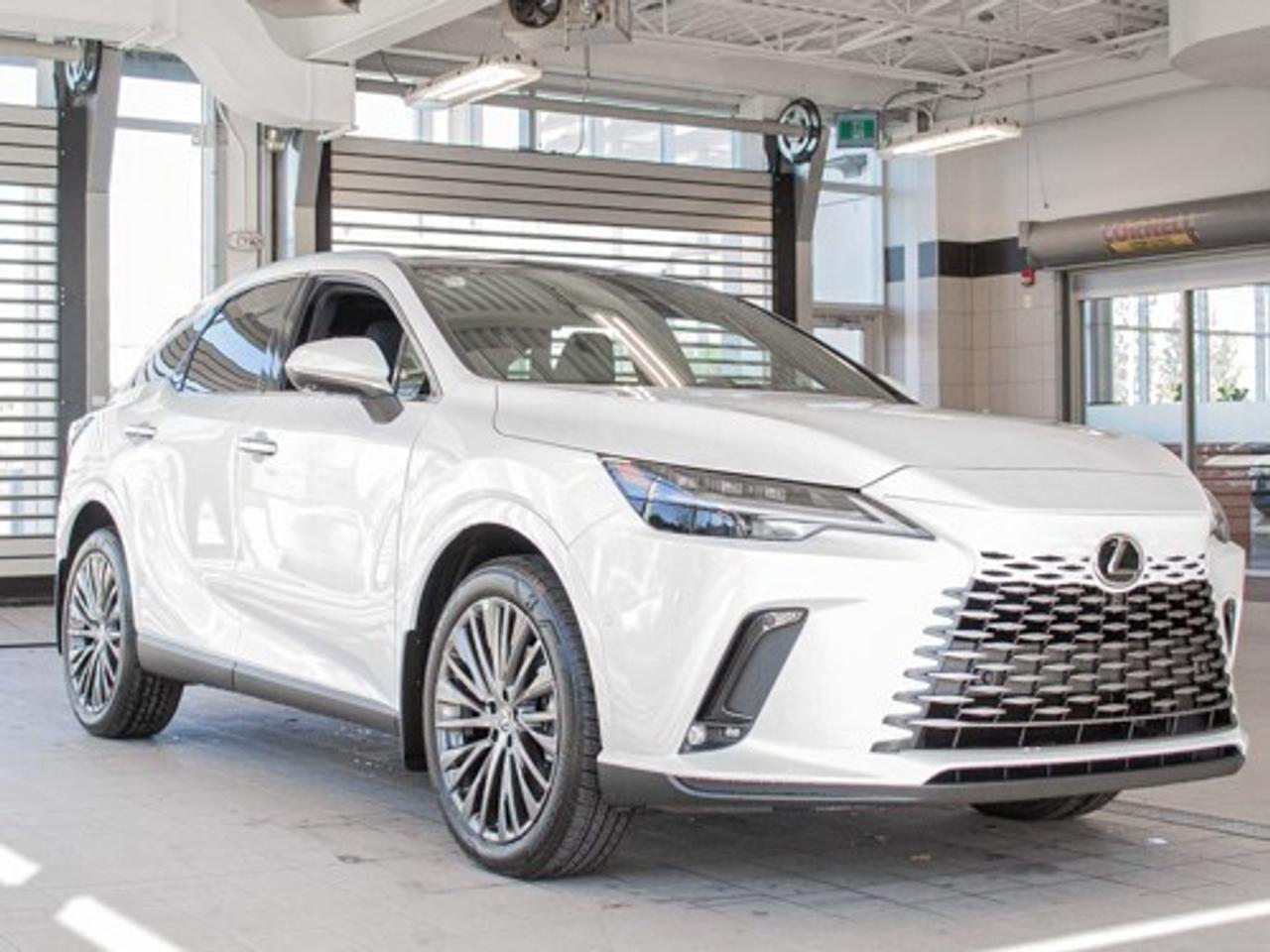 2024 Lexus RX 350 EXECUTIVE Photo
