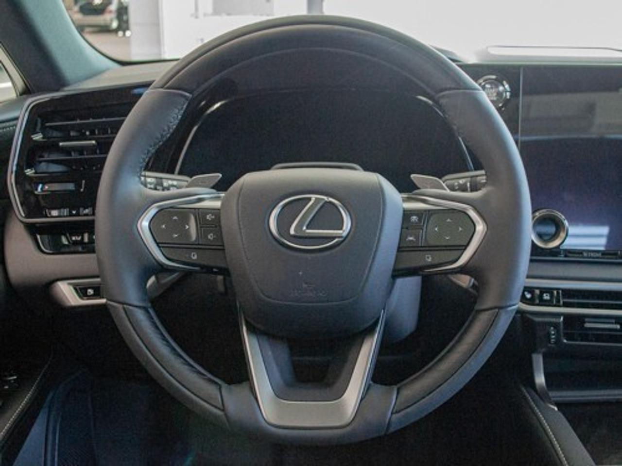 2024 Lexus RX 350 EXECUTIVE Photo