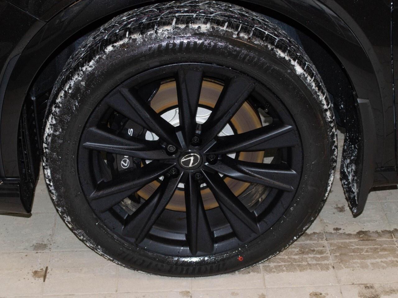 2025 Lexus RX 500H F SPORT Photo