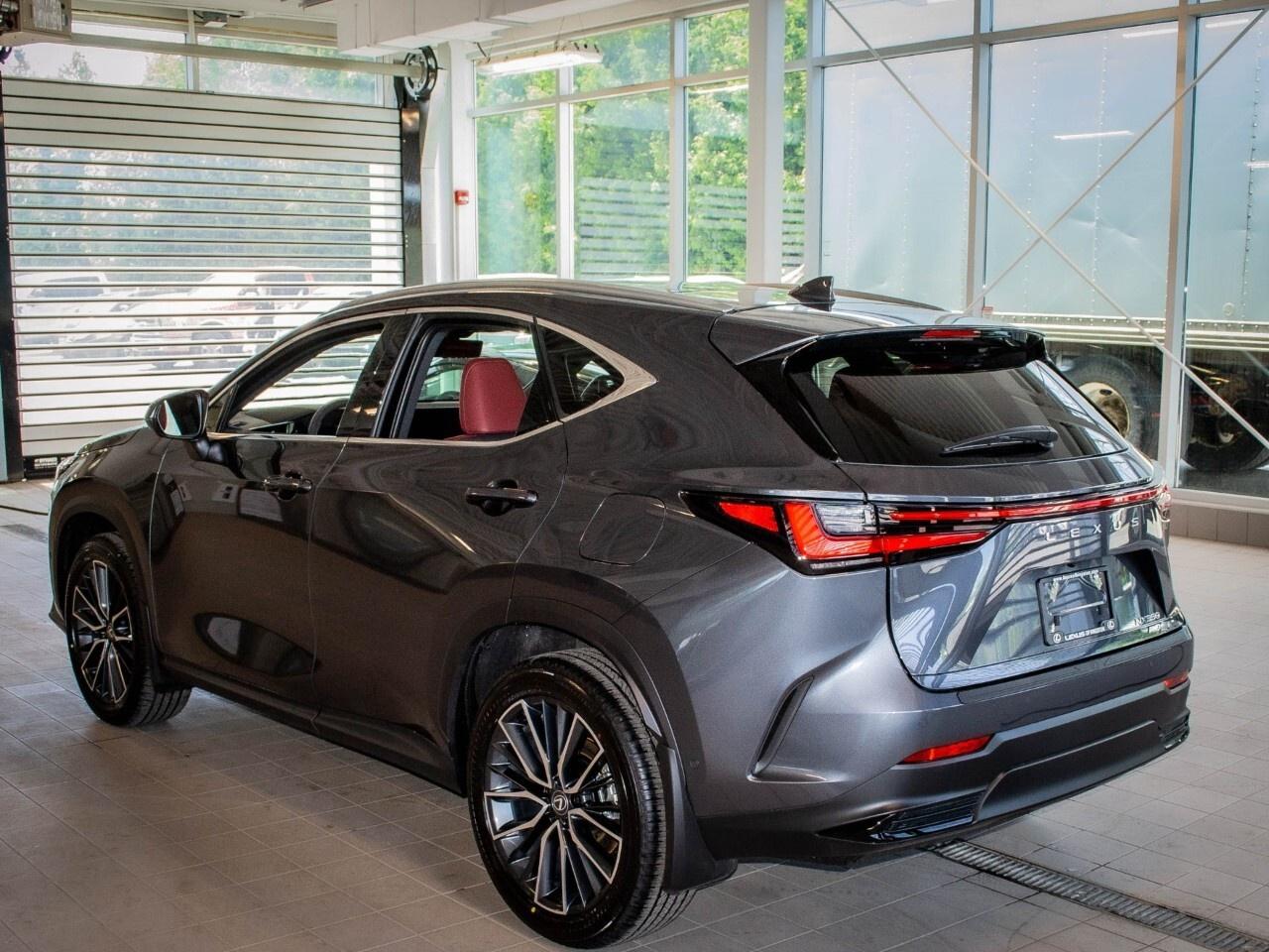 2025 Lexus NX 350 EXECUTIVE Photo