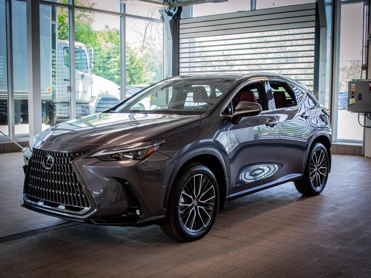 2025 Lexus NX 350 EXECUTIVE Photo