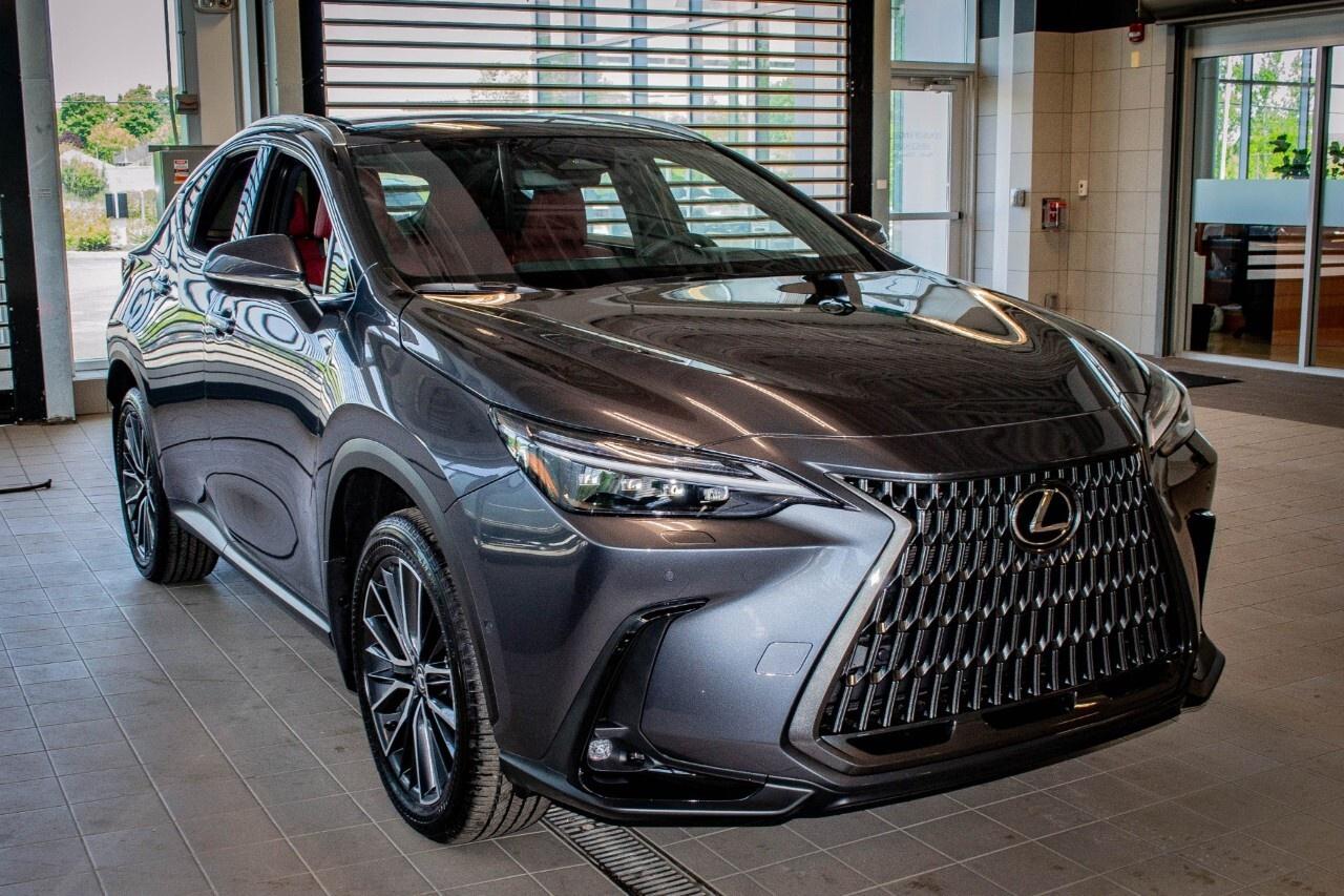 2025 Lexus NX 350 EXECUTIVE Photo2