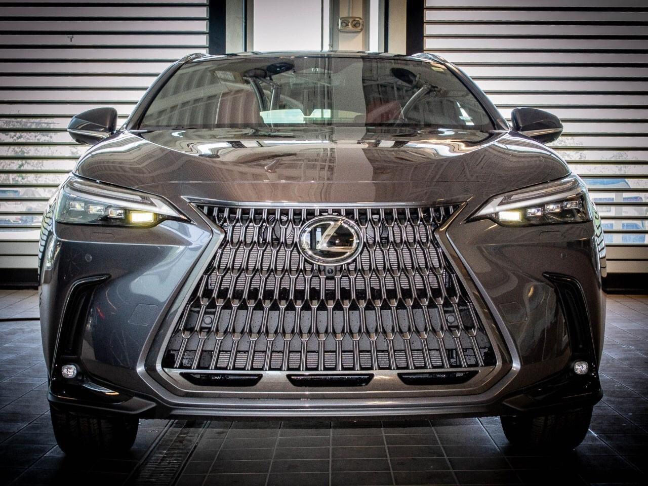2025 Lexus NX 350 EXECUTIVE Photo