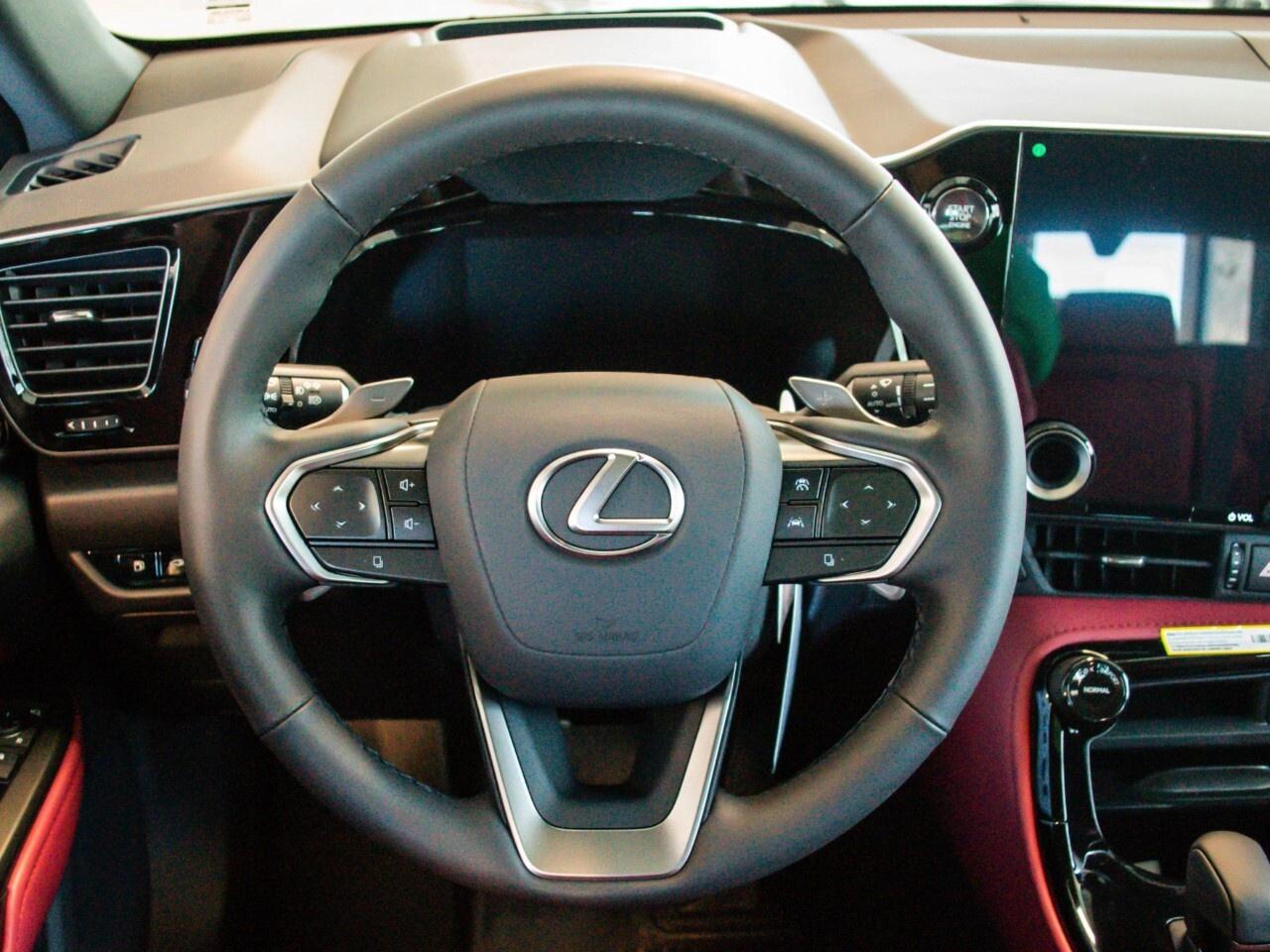 2025 Lexus NX 350 EXECUTIVE Photo
