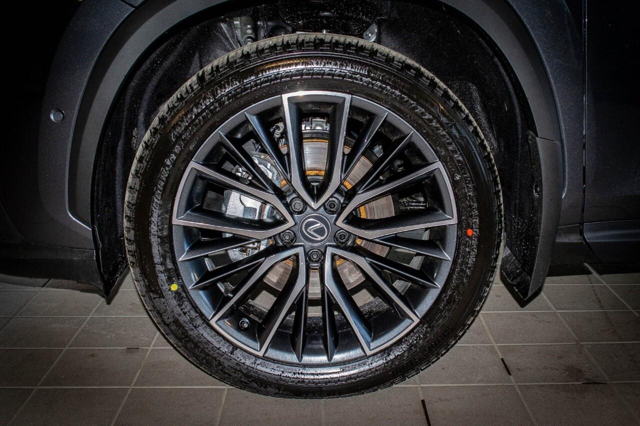 2025 Lexus NX 350 EXECUTIVE Photo