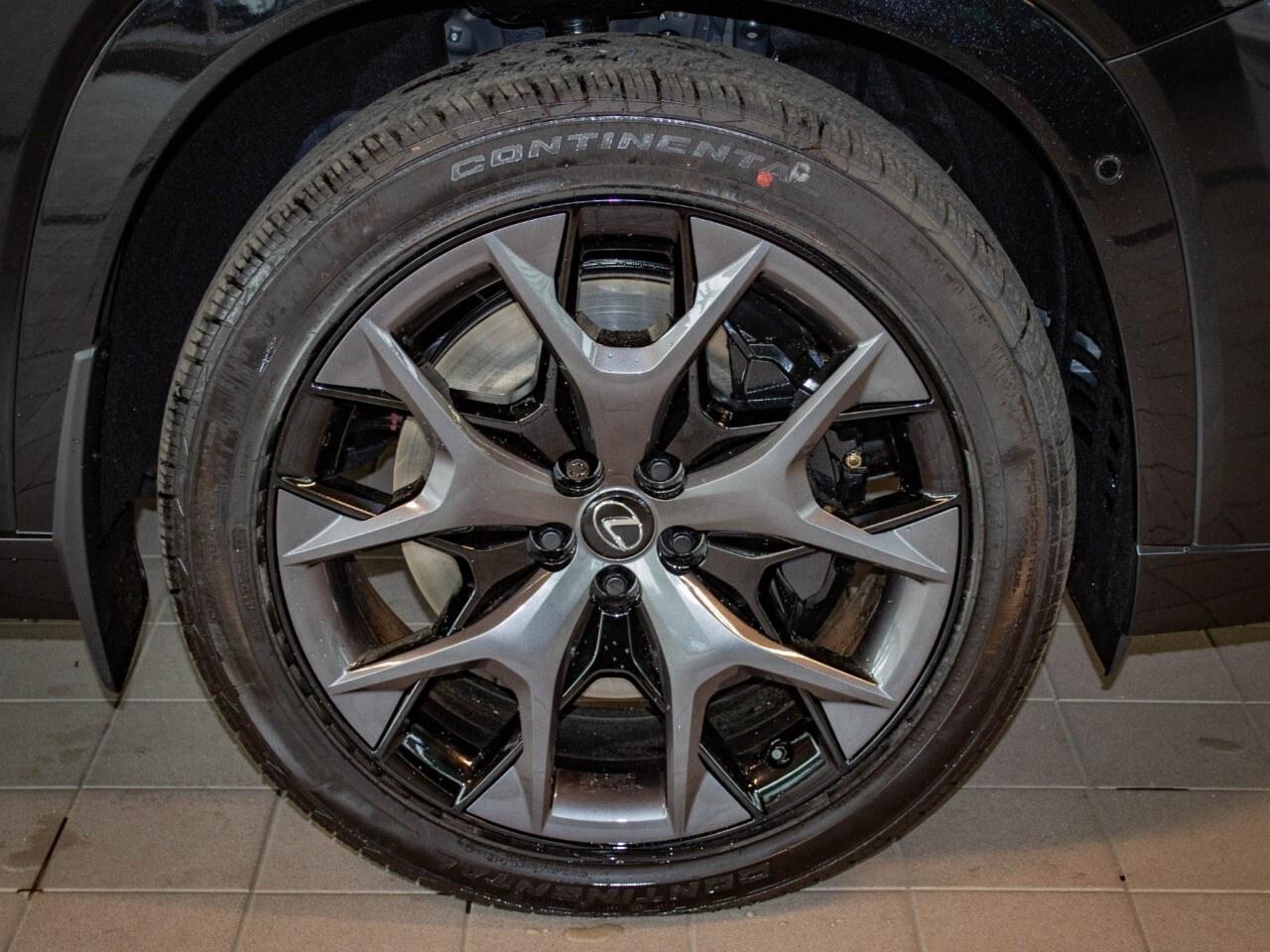 2025 Lexus TX 500h F Sport Photo