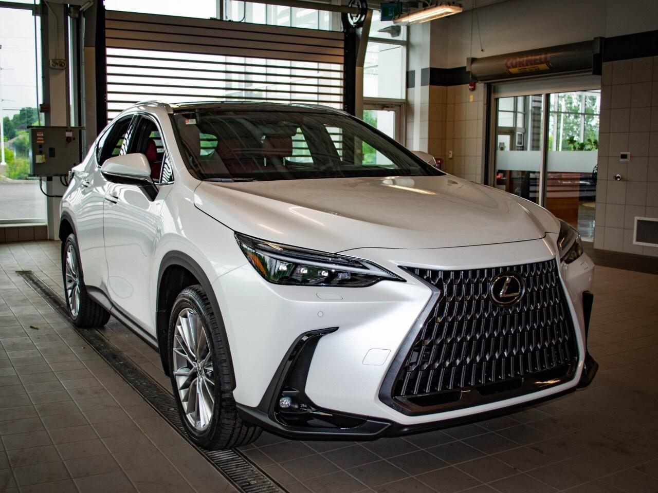 2025 Lexus NX 350 ULTRA LUXURY Photo
