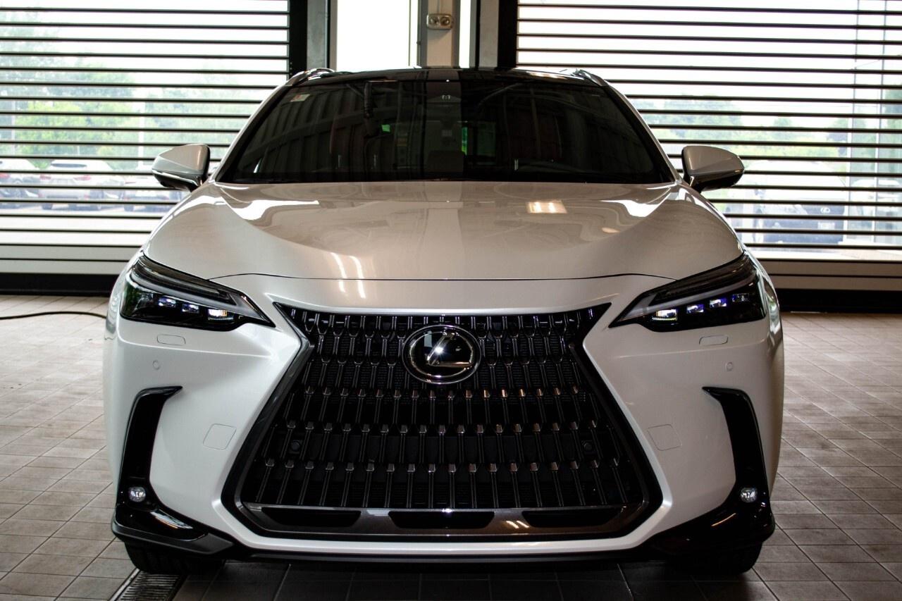 2025 Lexus NX 350 ULTRA LUXURY Photo