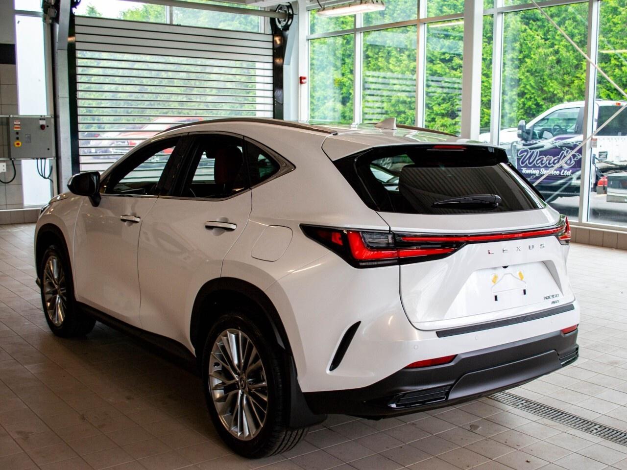 2025 Lexus NX 350 ULTRA LUXURY Photo3
