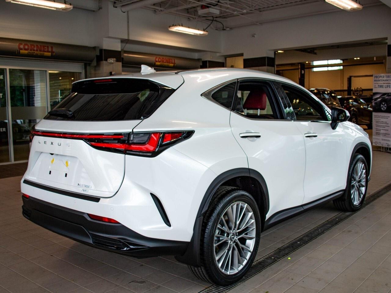 2025 Lexus NX 350 ULTRA LUXURY Photo