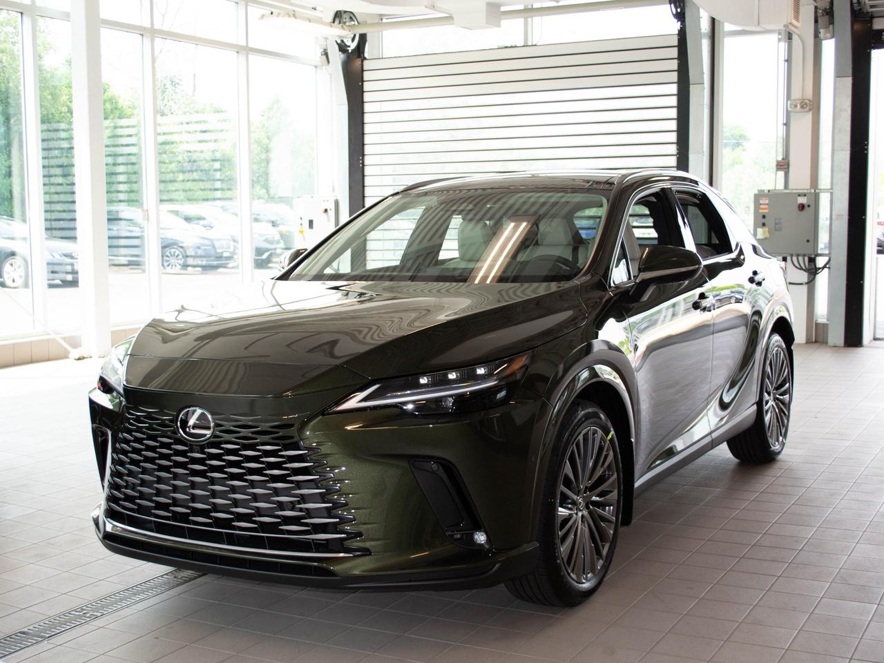2025 Lexus RX 350  Photo