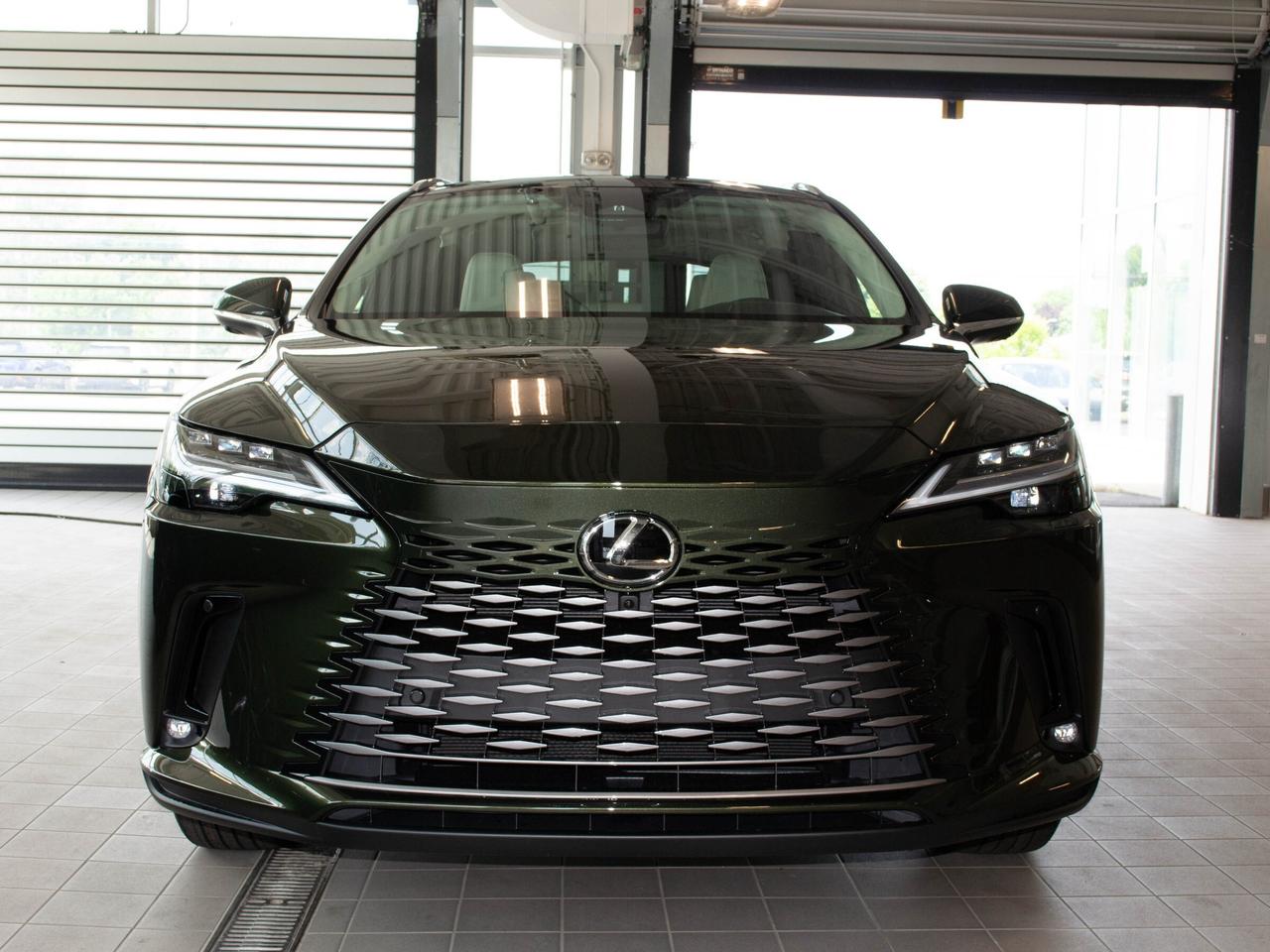 2025 Lexus RX 350  Photo