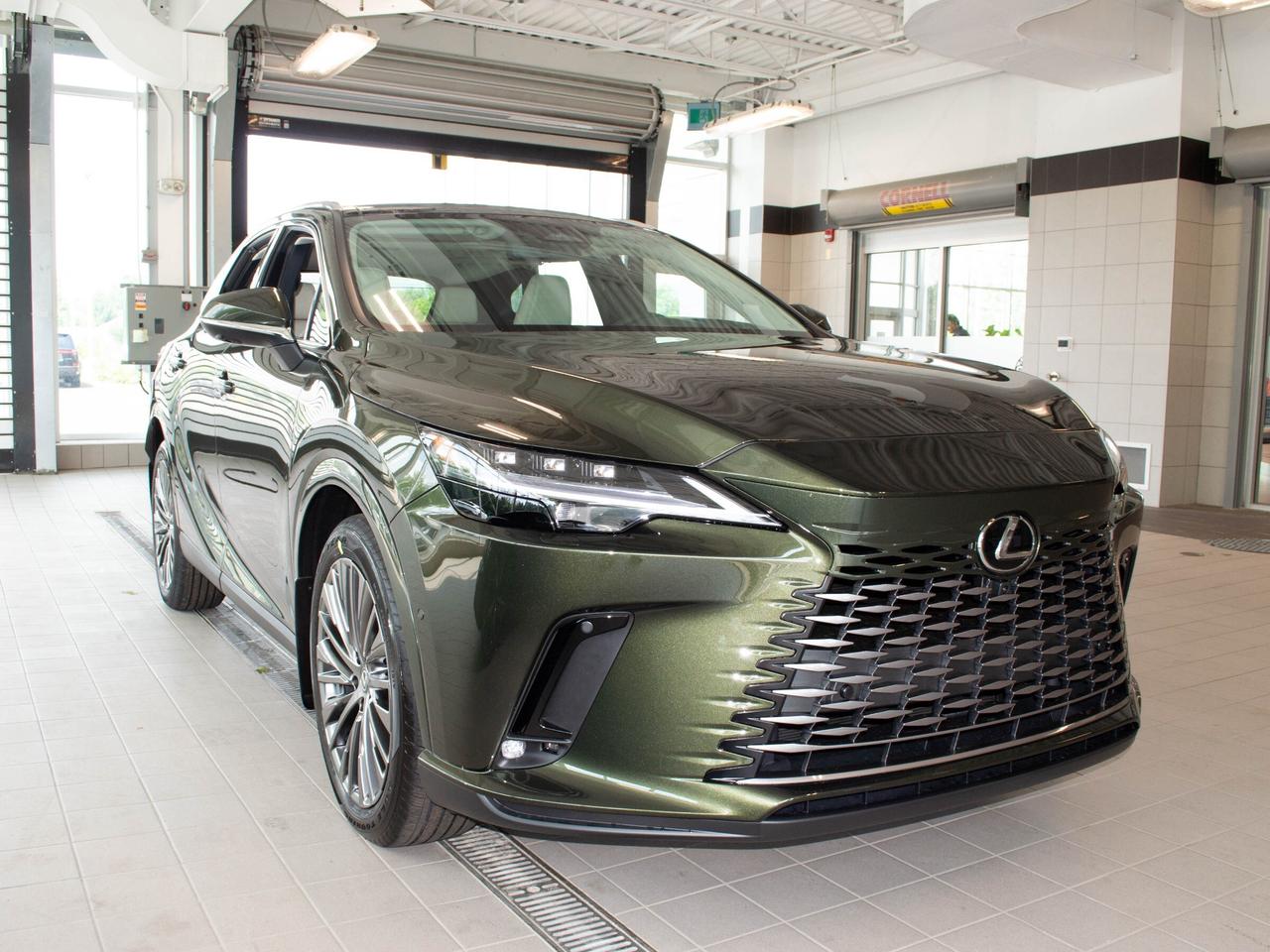 2025 Lexus RX 350  Photo
