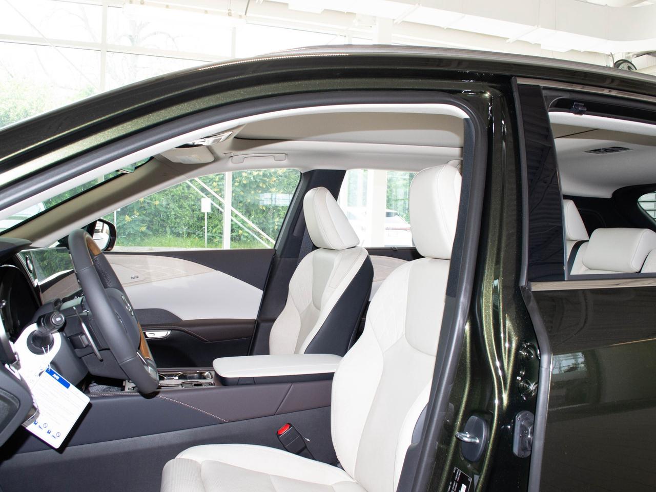 2025 Lexus RX 350  Photo