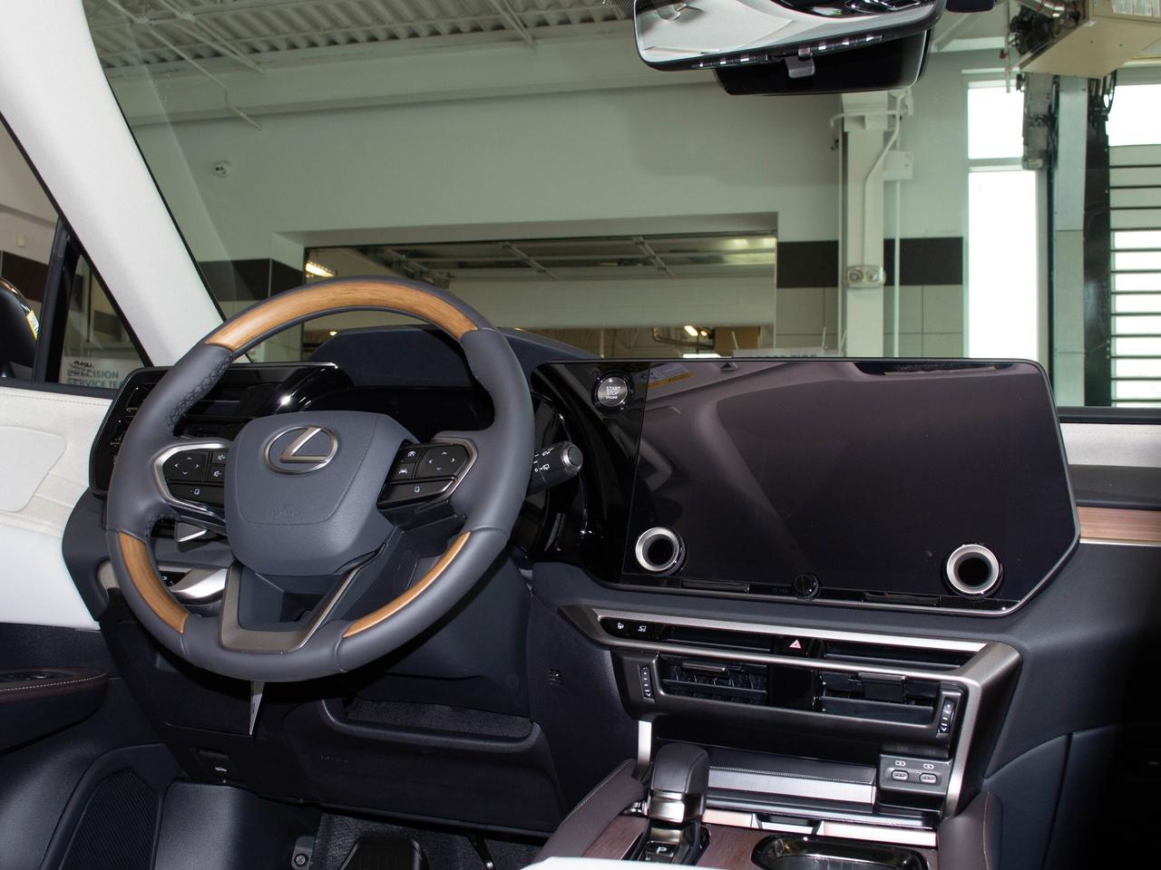 2025 Lexus RX 350  Photo
