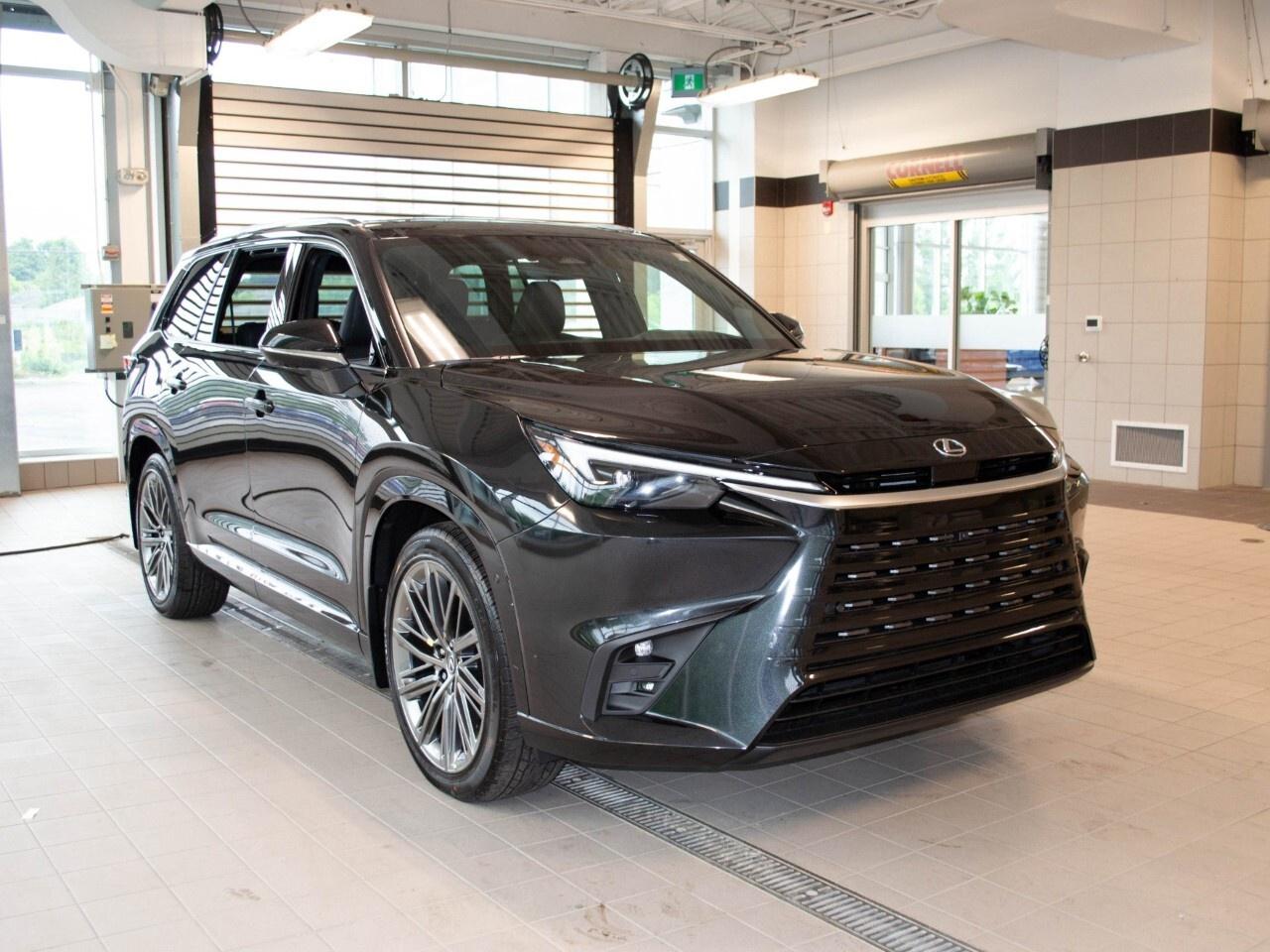 2025 Lexus TX 350 EXECUTIVE Photo