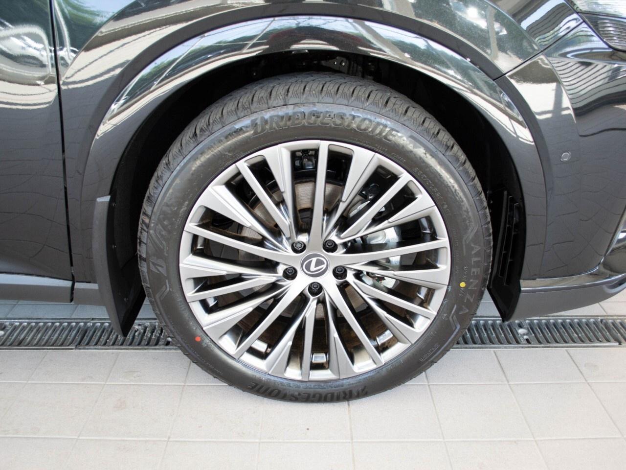 2025 Lexus RX 450h+ EXECUTIVE Photo