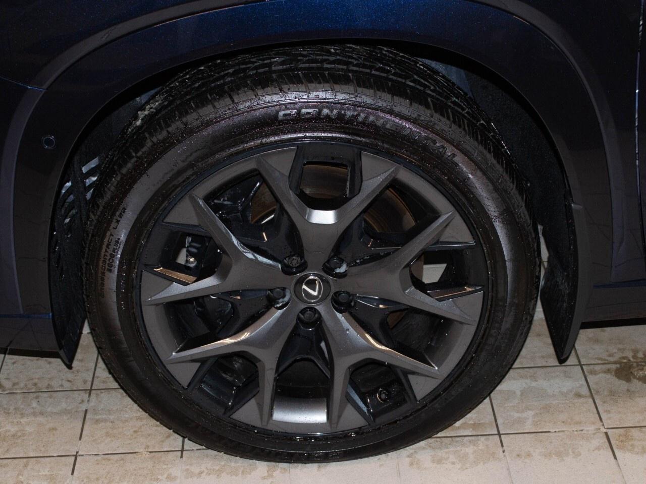 2025 Lexus TX 500h F Sport Photo
