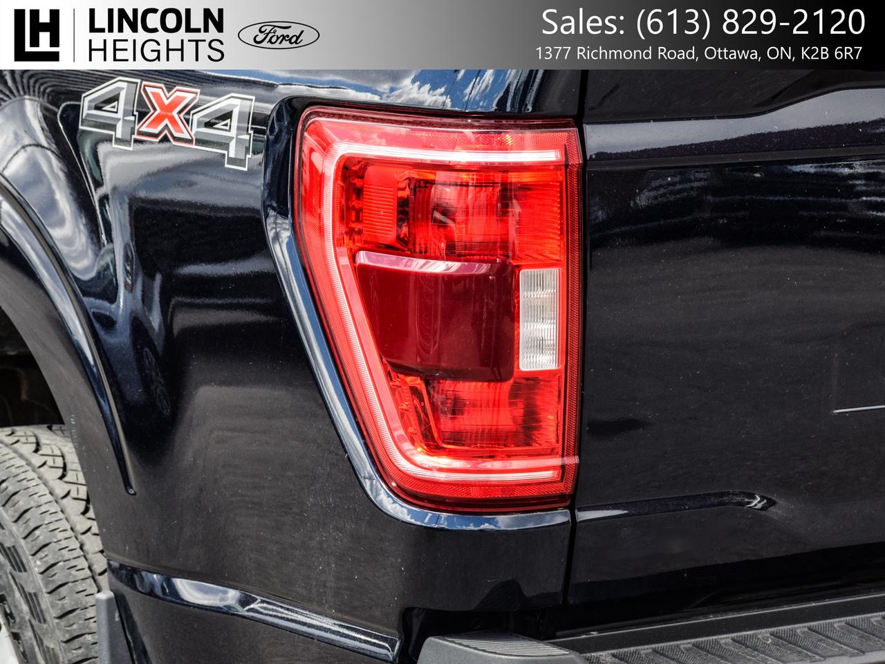 2023 Ford F-150  Photo