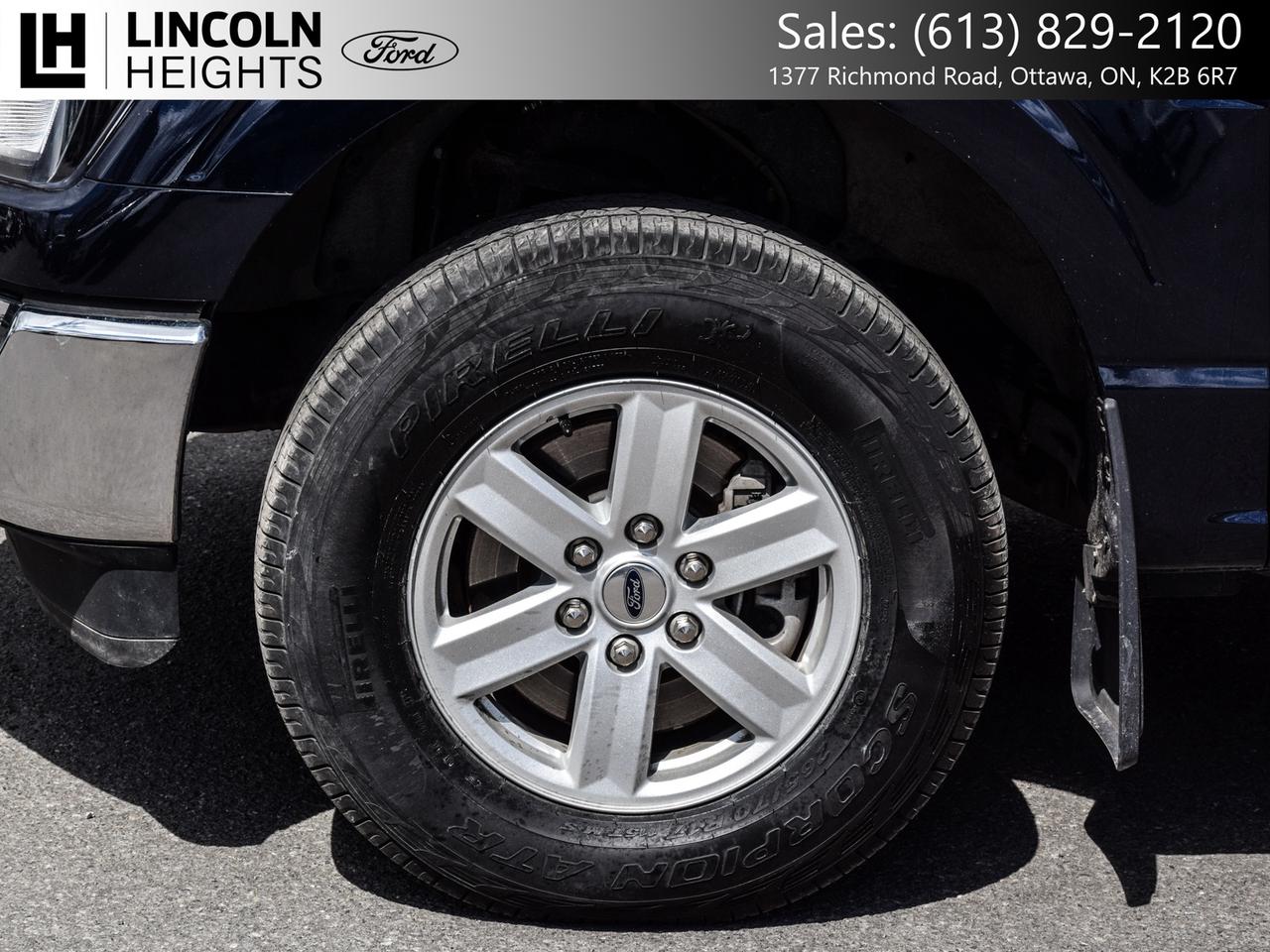 2023 Ford F-150  Photo